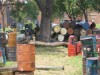 Thumbs/tn_Img_0364.jpg