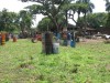 Thumbs/tn_Img_0396.jpg