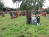 Thumbs/tn_Img_0417.jpg