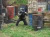 Thumbs/tn_Img_0495.jpg