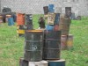 Thumbs/tn_Img_0498.jpg