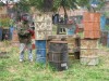 Thumbs/tn_Img_0504.jpg