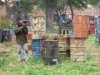 Thumbs/tn_Img_0505.jpg