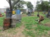 Thumbs/tn_Img_0514.jpg