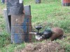 Thumbs/tn_Img_0527.jpg