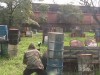 Thumbs/tn_Img_0128.jpg