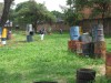 Thumbs/tn_Img_0724.jpg