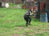 Thumbs/tn_Img_0732.jpg