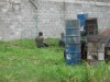 Thumbs/tn_Img_0740.jpg
