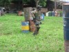 Thumbs/tn_Img_0744.jpg