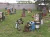Thumbs/tn_Img_0146.jpg