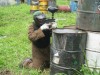 Thumbs/tn_Img_6819.jpg