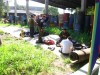 Thumbs/tn_Img_0989.jpg