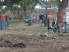 Thumbs/tn_Img_1136.jpg