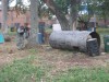 Thumbs/tn_Img_1138.jpg