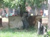 Thumbs/tn_Img_1141.jpg
