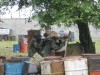 Thumbs/tn_Img_1161.jpg