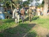 Thumbs/tn_Img_7774.jpg