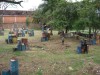 Thumbs/tn_Img_1428.jpg