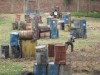 Thumbs/tn_Img_1435.jpg