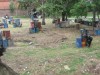 Thumbs/tn_Img_1436.jpg