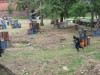 Thumbs/tn_Img_1437.jpg