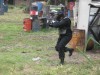 Thumbs/tn_Img_1454.jpg