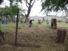 Thumbs/tn_Img_1466.jpg