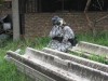 Thumbs/tn_Img_1476.jpg