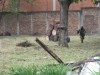 Thumbs/tn_Img_1477.jpg