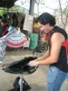 Thumbs/tn_Img_7953.jpg