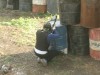 Thumbs/tn_Img_7971.jpg