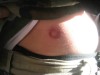 Thumbs/tn_Img_7973.jpg
