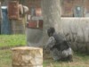 Thumbs/tn_Img_7976.jpg