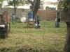 Thumbs/tn_Img_7978.jpg