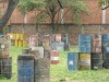 Thumbs/tn_Img_7990.jpg