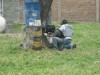 Thumbs/tn_Img_7992.jpg