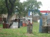 Thumbs/tn_Img_7996.jpg