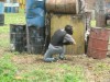Thumbs/tn_Img_8006.jpg