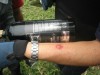 Thumbs/tn_Img_8016.jpg