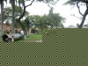 Thumbs/tn_Img_8017.jpg